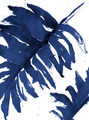Image Not Available